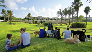 מתכננים למכור או לקנות דירה בהרצליה? כדאי שתקראו!